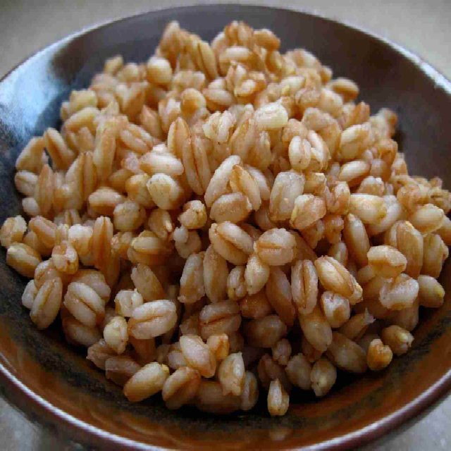 Farro – created on the CHEF CHEF app for iOS