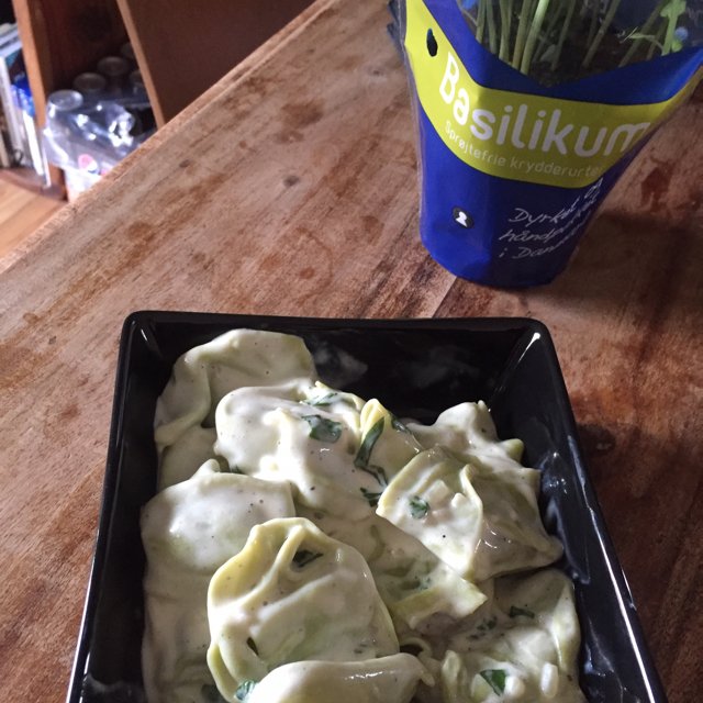 Tottelline i flødesovs – created on the CHEF CHEF app for iOS