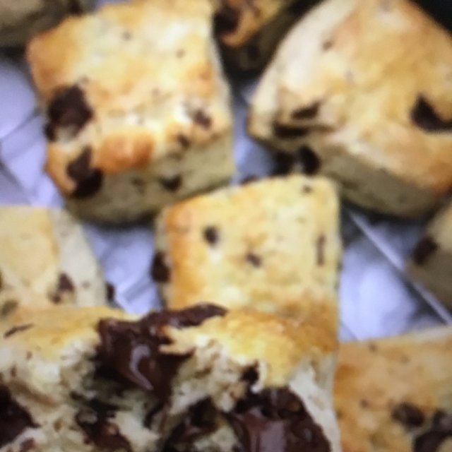 Scones med chokolade